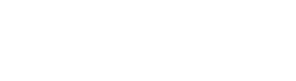 Brooklyn Data